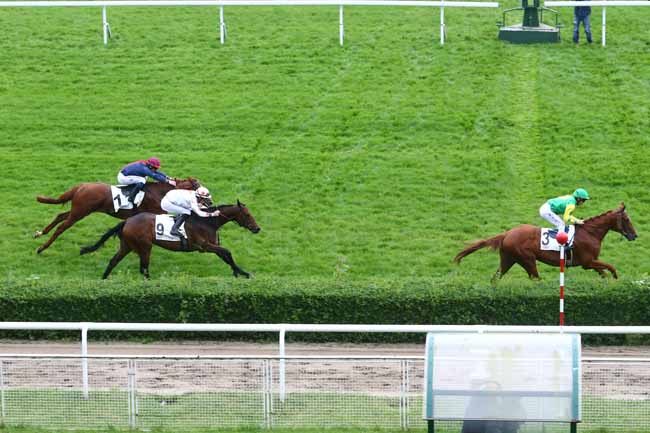 Photo d'arrivée de la course pmu PRIX DES NENUPHARS à SAINT-CLOUD le Vendredi 3 juin 2016