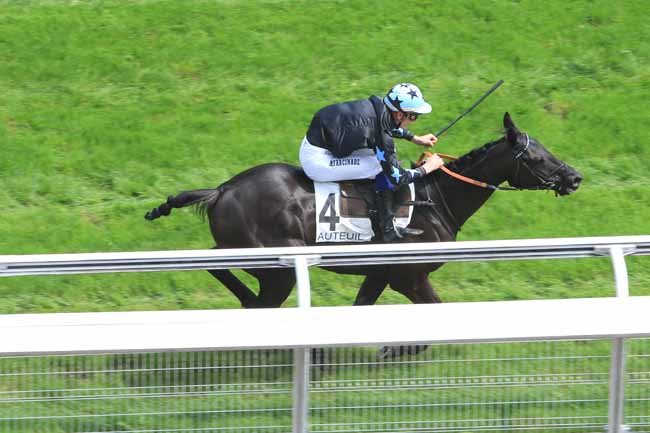 Photo d'arrivée de la course pmu PRIX GOPAL à AUTEUIL le Lundi 6 juin 2016