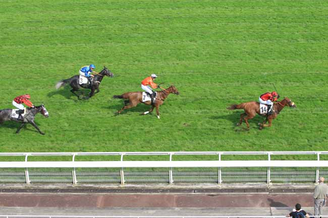 Photo d'arrivée de la course pmu PRIX TRINIDAD à AUTEUIL le Lundi 6 juin 2016