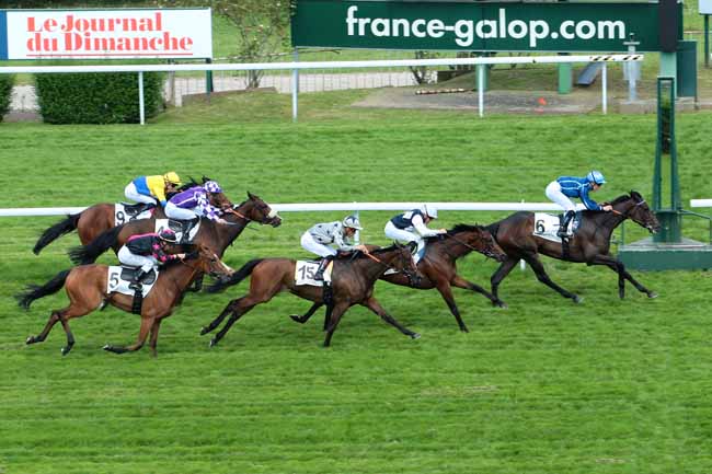 Photo d'arrivée de la course pmu PRIX DE LA CHALOSSE à SAINT-CLOUD le Mardi 7 juin 2016