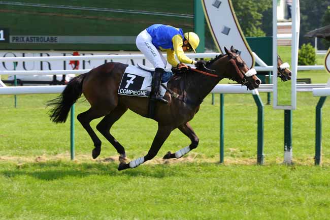 Photo d'arrivée de la course pmu PRIX ASTROLABE (PREMIER PELOTON) à COMPIEGNE le Mardi 7 juin 2016