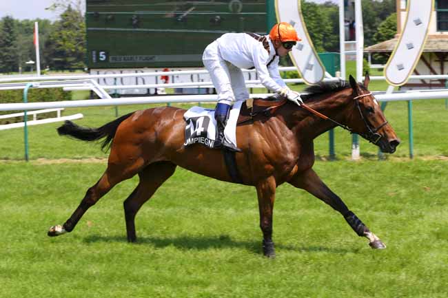 Photo d'arrivée de la course pmu PRIX KARLY FLIGHT à COMPIEGNE le Mardi 7 juin 2016
