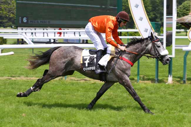 Photo d'arrivée de la course pmu PRIX EL PASO III à COMPIEGNE le Mardi 7 juin 2016