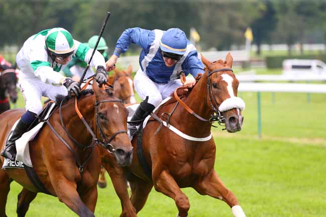 Photo d'arrivée de la course pmu PRIX MISTIGRI à COMPIEGNE le Mardi 7 juin 2016