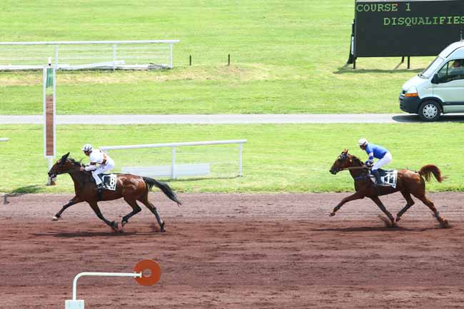 Photo d'arrivée de la course pmu PRIX DE TRETEAU à VICHY le Jeudi 9 juin 2016