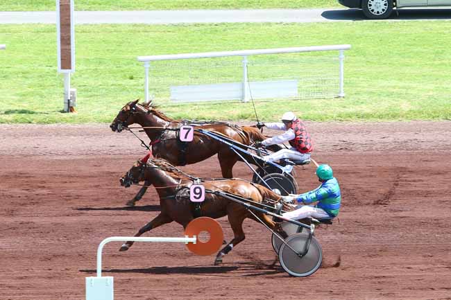 Photo d'arrivée de la course pmu PRIX DE SAINT-REMY-EN-ROLLAT à VICHY le Jeudi 9 juin 2016