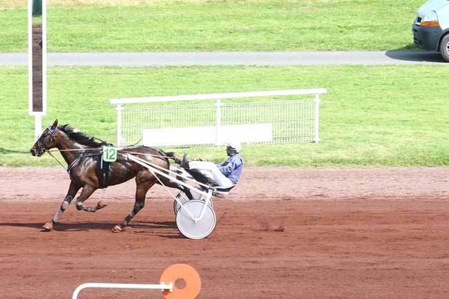 Photo d'arrivée de la course pmu PRIX DE LA SOLOGNE à VICHY le Jeudi 9 juin 2016