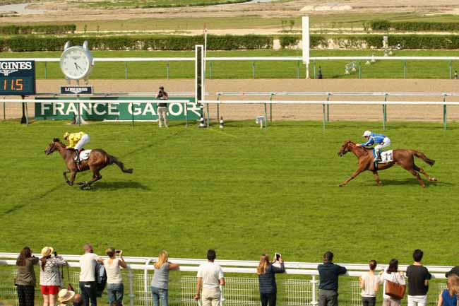 Photo d'arrivée de la course pmu PRIX DU VERBOIS à DEAUVILLE le Jeudi 9 juin 2016