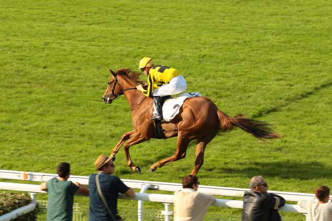 Photo d'arrivée de la course pmu PRIX MEMORANDUM à DEAUVILLE le Jeudi 9 juin 2016