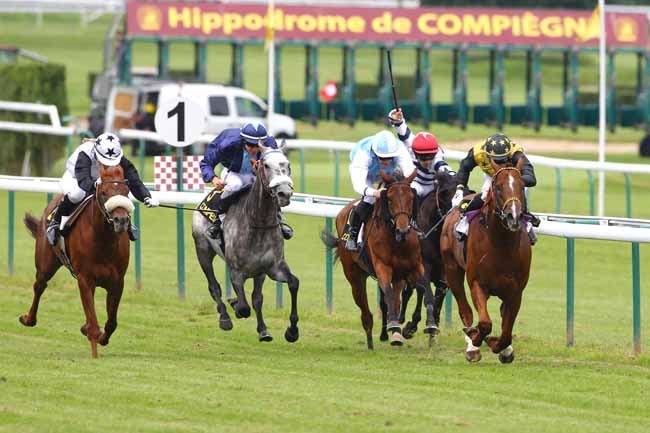 Photo d'arrivée de la course pmu PRIX DES AMATEURS à COMPIEGNE le Vendredi 10 juin 2016