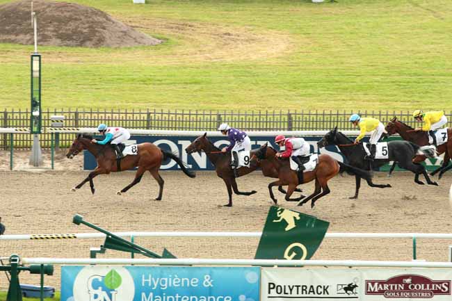 Photo d'arrivée de la course pmu PRIX DE LA CROIX NEUVE à CHANTILLY le Samedi 11 juin 2016