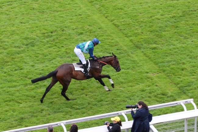 Photo d'arrivée de la course pmu PRIX AGUADO à AUTEUIL le Dimanche 12 juin 2016