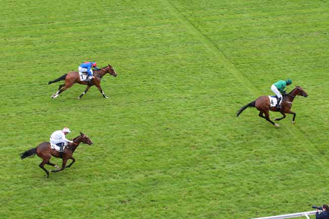 Photo d'arrivée de la course pmu PRIX ALAIN DU BREIL - COURSE DE HAIES D'ETE DES QUATRE ANS à AUTEUIL le Dimanche 12 juin 2016
