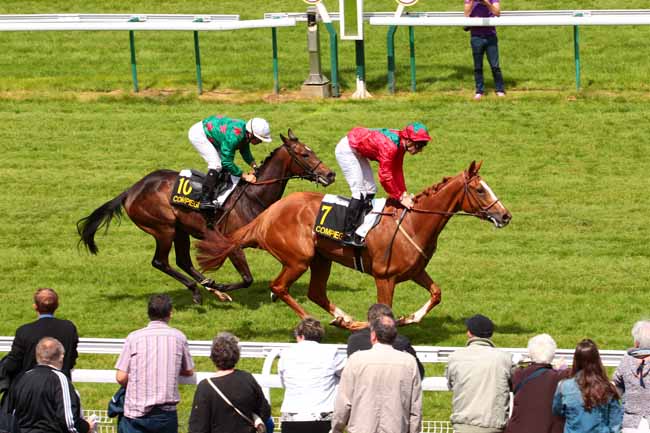 Photo d'arrivée de la course pmu PRIX DE L'HOTEL DES MONNAIES à COMPIEGNE le Lundi 13 juin 2016