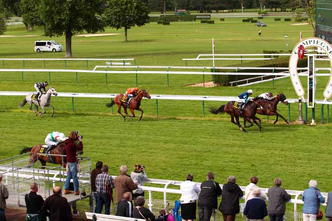 Photo d'arrivée de la course pmu PRIX SPECIAL MACAO à COMPIEGNE le Lundi 13 juin 2016