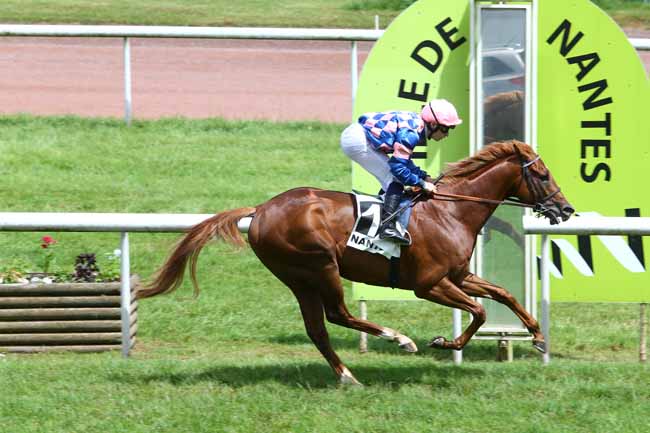 Photo d'arrivée de la course pmu PRIX DU PETIT PORT à NANTES le Mardi 14 juin 2016