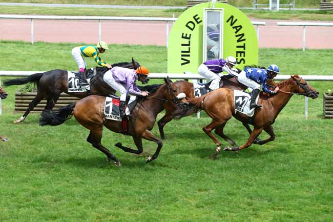 Photo d'arrivée de la course pmu GRAND PRIX SYNERGIE à NANTES le Mardi 14 juin 2016