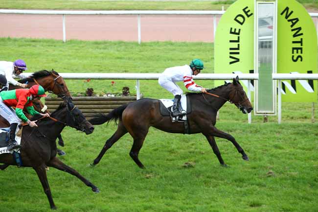 Photo d'arrivée de la course pmu PRIX DE LA CHEZINE à NANTES le Mardi 14 juin 2016