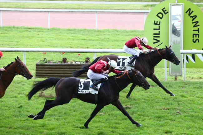 Photo d'arrivée de la course pmu PRIX CHUPIN ESPACES VERTS à NANTES le Mardi 14 juin 2016
