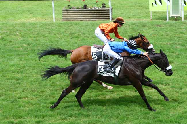 Photo d'arrivée de la course pmu GRAND PRIX DES AQPS à NANTES le Mardi 14 juin 2016