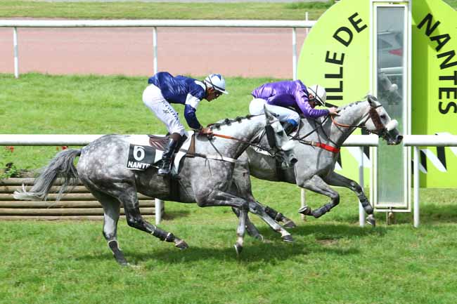 Photo d'arrivée de la course pmu PRIX GERALD DE ROCHEFORT à NANTES le Mardi 14 juin 2016