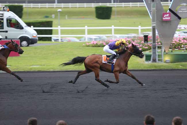 Photo d'arrivée de la course pmu PRIX JEAN-PAUL FAIRAND à PARIS-VINCENNES le Mardi 14 juin 2016