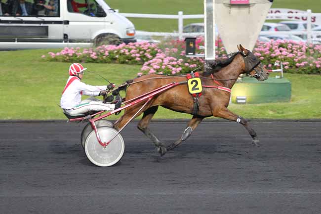 Photo d'arrivée de la course pmu PRIX PENELOPE à PARIS-VINCENNES le Mardi 14 juin 2016