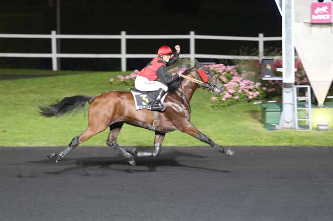 Photo d'arrivée de la course pmu PRIX TYCHE à PARIS-VINCENNES le Mardi 14 juin 2016
