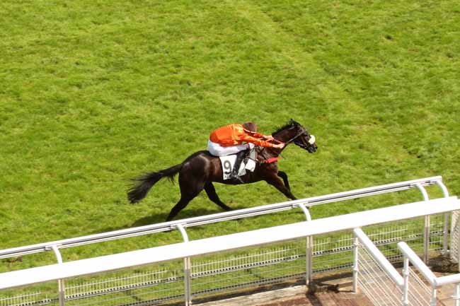Photo d'arrivée de la course pmu PRIX GALAFRON à AUTEUIL le Mercredi 15 juin 2016