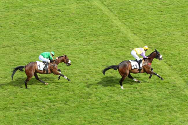 Photo d'arrivée de la course pmu PRIX DE ROYAN à AUTEUIL le Mercredi 15 juin 2016