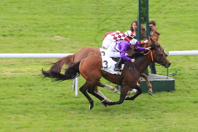 Photo d'arrivée de la course pmu PRIX LAVANDIN à SAINT-CLOUD le Jeudi 16 juin 2016