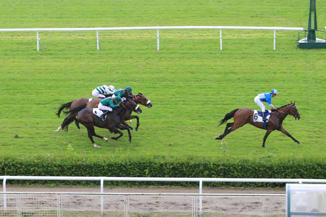 Photo d'arrivée de la course pmu PRIX RELIANCE à SAINT-CLOUD le Jeudi 16 juin 2016