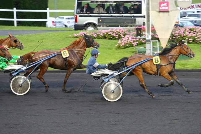 Photo d'arrivée de la course pmu PRIX CELUTA à PARIS-VINCENNES le Vendredi 17 juin 2016
