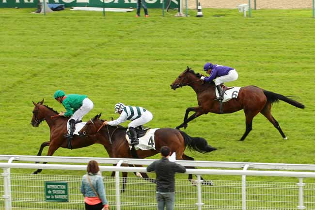Photo d'arrivée de la course pmu PRIX MARY TUDOR à DEAUVILLE le Vendredi 17 juin 2016