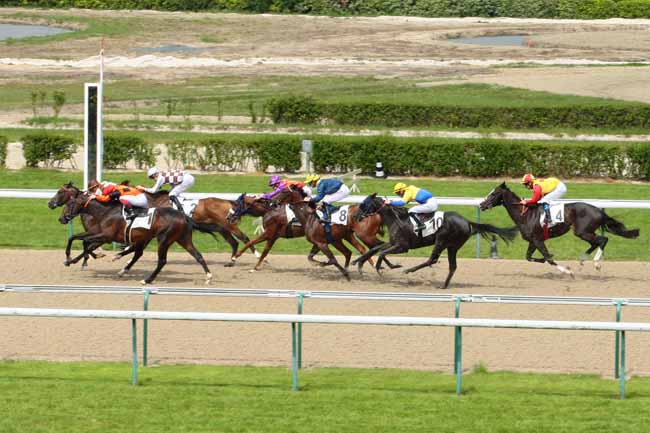 Photo d'arrivée de la course pmu PRIX DE LA PLACE MONTAIGNE à DEAUVILLE le Vendredi 17 juin 2016