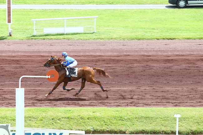Photo d'arrivée de la course pmu PRIX BELLINO II à VICHY le Lundi 20 juin 2016
