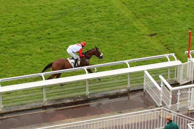 Photo d'arrivée de la course pmu PRIX PORT SAID à AUTEUIL le Lundi 20 juin 2016