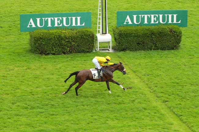 Photo d'arrivée de la course pmu PRIX LE BOUIF à AUTEUIL le Lundi 20 juin 2016