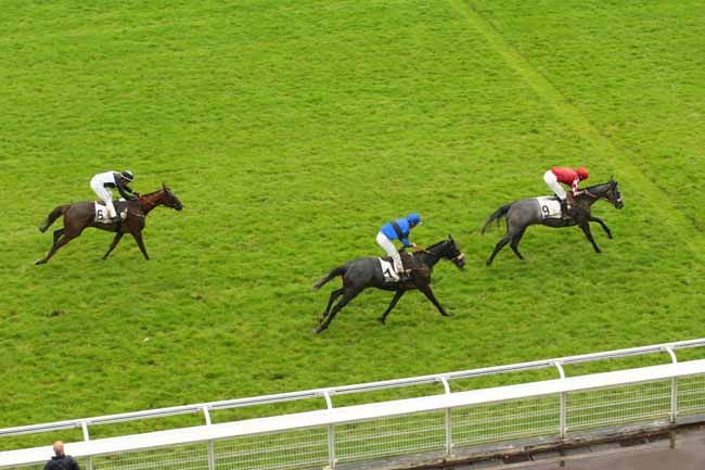 Photo d'arrivée de la course pmu PRIX JASON à AUTEUIL le Lundi 20 juin 2016