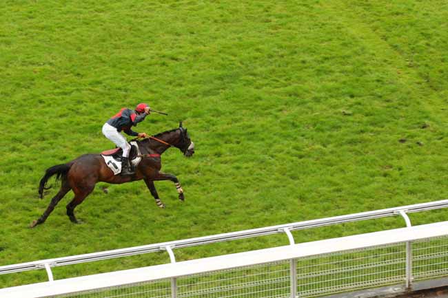 Photo d'arrivée de la course pmu PRIX DU VESINET à AUTEUIL le Lundi 20 juin 2016