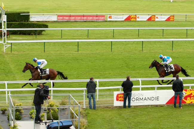 Photo d'arrivée de la course pmu PRIX DREAM WELL à DIEPPE le Mardi 21 juin 2016