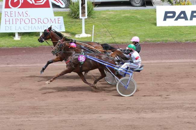 Photo d'arrivée de la course pmu PRIX DE L'UNAT à REIMS le Mercredi 22 juin 2016