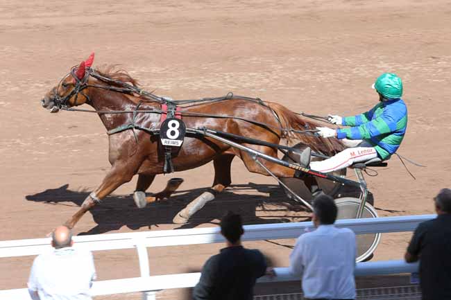 Photo d'arrivée de la course pmu PRIX LE CAFE DES SPORTIFS - REIMS à REIMS le Mercredi 22 juin 2016