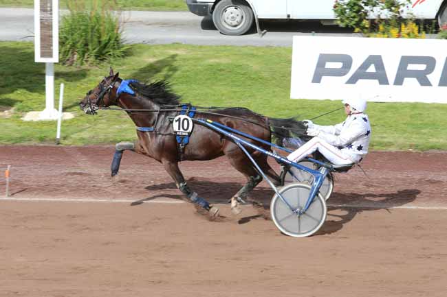 Photo d'arrivée de la course pmu PRIX WWW.HIPPODROMEDEREIMS.COM à REIMS le Mercredi 22 juin 2016