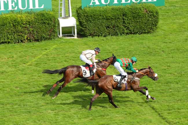 Photo d'arrivée de la course pmu PRIX LA PERICHOLE à AUTEUIL le Jeudi 23 juin 2016