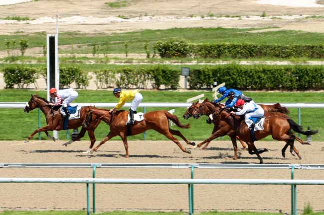 Photo d'arrivée de la course pmu PRIX NELCIUS à DEAUVILLE le Vendredi 24 juin 2016