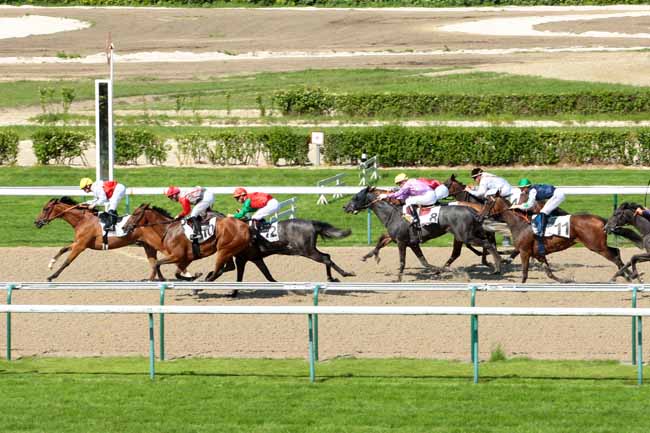 Photo d'arrivée de la course pmu PRIX DE FROMAINVILLE à DEAUVILLE le Vendredi 24 juin 2016