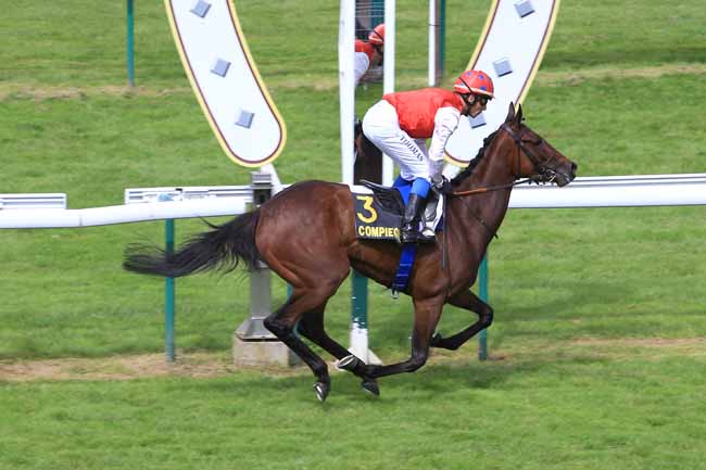 Photo d'arrivée de la course pmu PRIX DE L'ELEGANCE à COMPIEGNE le Samedi 25 juin 2016