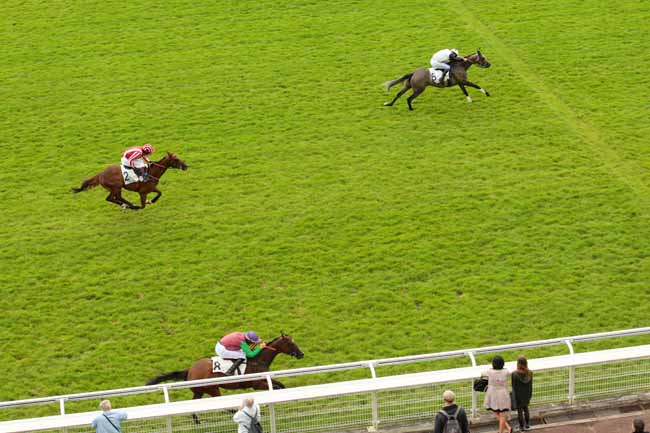 Photo d'arrivée de la course pmu PRIX GERALD DE ROCHEFORT à AUTEUIL le Lundi 27 juin 2016