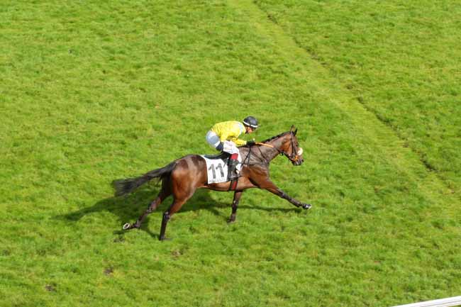 Photo d'arrivée de la course pmu PRIX D'ACHERES à AUTEUIL le Lundi 27 juin 2016